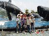 93TR_125.jpg