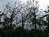 IMGP3519_resize.JPG