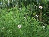 IMGP4937_resize.JPG