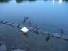IMGP5521_resize.JPG