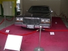 IMGP7599_resize.JPG