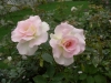 檔案名稱=IMGP7623_resize.JPG
檔案大小=121KB
圖片尺寸=800x600
加入日期=四月 01, 2007 IMGP7623_resize.JPG