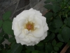 檔案名稱=IMGP7629_resize.JPG
檔案大小=88KB
圖片尺寸=800x600
加入日期=四月 01, 2007 IMGP7629_resize.JPG