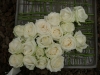 檔案名稱=IMGP7634_resize.JPG
檔案大小=142KB
圖片尺寸=800x600
加入日期=四月 01, 2007 IMGP7634_resize.JPG