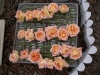 檔案名稱=IMGP7635_resize.JPG
檔案大小=202KB
圖片尺寸=800x600
加入日期=四月 01, 2007 IMGP7635_resize.JPG