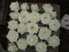 檔案名稱=IMGP7636_resize.JPG
檔案大小=135KB
圖片尺寸=800x600
加入日期=四月 01, 2007 IMGP7636_resize.JPG