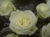 檔案名稱=IMGP7639_resize.JPG
檔案大小=88KB
圖片尺寸=800x600
加入日期=四月 01, 2007 IMGP7639_resize.JPG