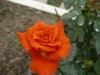 檔案名稱=IMGP7641_resize.JPG
檔案大小=94KB
圖片尺寸=800x600
加入日期=四月 01, 2007 IMGP7641_resize.JPG