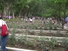 IMGP7651_resize.JPG