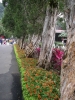 檔案名稱=IMGP7698_resize.jpg
檔案大小=264KB
圖片尺寸=600x800
加入日期=四月 01, 2007 IMGP7698_resize.jpg