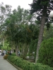 檔案名稱=IMGP7704_resize.jpg
檔案大小=245KB
圖片尺寸=600x800
加入日期=四月 01, 2007 IMGP7704_resize.jpg