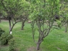 檔案名稱=IMGP7709_resize.JPG
檔案大小=299KB
圖片尺寸=800x600
加入日期=四月 01, 2007 IMGP7709_resize.JPG