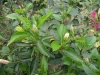 檔案名稱=IMGP7711_resize.JPG
檔案大小=203KB
圖片尺寸=800x600
加入日期=四月 01, 2007 IMGP7711_resize.JPG
