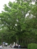 檔案名稱=IMGP7713_resize.jpg
檔案大小=256KB
圖片尺寸=600x800
加入日期=四月 01, 2007 IMGP7713_resize.jpg