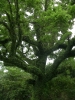 檔案名稱=IMGP7714_resize.jpg
檔案大小=258KB
圖片尺寸=600x800
加入日期=四月 01, 2007 IMGP7714_resize.jpg