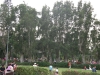 檔案名稱=IMGP7716_resize.JPG
檔案大小=219KB
圖片尺寸=800x600
加入日期=四月 01, 2007 IMGP7716_resize.JPG