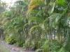 檔案名稱=IMGP7719_resize.JPG
檔案大小=282KB
圖片尺寸=800x600
加入日期=四月 01, 2007 IMGP7719_resize.JPG
