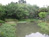 檔案名稱=IMGP7722_resize.JPG
檔案大小=222KB
圖片尺寸=800x600
加入日期=四月 01, 2007 IMGP7722_resize.JPG