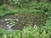 檔案名稱=IMGP7723_resize.JPG
檔案大小=282KB
圖片尺寸=800x600
加入日期=四月 01, 2007 IMGP7723_resize.JPG