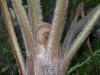 檔案名稱=IMGP7726_resize.JPG
檔案大小=207KB
圖片尺寸=800x600
加入日期=四月 01, 2007 IMGP7726_resize.JPG