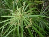 檔案名稱=IMGP7728_resize.JPG
檔案大小=212KB
圖片尺寸=800x600
加入日期=四月 01, 2007 IMGP7728_resize.JPG