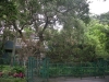 檔案名稱=IMGP7738_resize.JPG
檔案大小=261KB
圖片尺寸=800x600
加入日期=四月 01, 2007 IMGP7738_resize.JPG