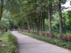 檔案名稱=IMGP7739_resize.JPG
檔案大小=251KB
圖片尺寸=800x600
加入日期=四月 01, 2007 IMGP7739_resize.JPG
