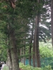 檔案名稱=IMGP7741_resize.jpg
檔案大小=260KB
圖片尺寸=600x800
加入日期=四月 01, 2007 IMGP7741_resize.jpg