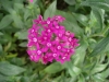 檔案名稱=IMGP7742_resize.JPG
檔案大小=125KB
圖片尺寸=800x600
加入日期=四月 01, 2007 IMGP7742_resize.JPG