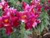 檔案名稱=IMGP7773_resize.JPG
檔案大小=132KB
圖片尺寸=800x600
加入日期=四月 01, 2007 IMGP7773_resize.JPG