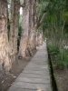 檔案名稱=IMGP7775_resize.jpg
檔案大小=216KB
圖片尺寸=600x800
加入日期=四月 01, 2007 IMGP7775_resize.jpg