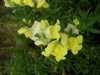 檔案名稱=IMGP7779_resize.JPG
檔案大小=100KB
圖片尺寸=800x600
加入日期=四月 01, 2007 IMGP7779_resize.JPG