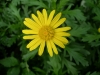 檔案名稱=IMGP7782_resize.JPG
檔案大小=103KB
圖片尺寸=800x600
加入日期=四月 01, 2007 IMGP7782_resize.JPG