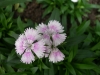 檔案名稱=IMGP7784_resize.JPG
檔案大小=104KB
圖片尺寸=800x600
加入日期=四月 01, 2007 IMGP7784_resize.JPG