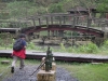 IMGP8648_resize.JPG