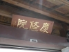 IMGP3567_resize.JPG