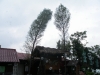 IMGP5971_resize.JPG