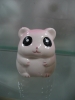 IMGP8525_resize.jpg
