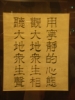 IMGP8582_resize.jpg