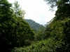 IMG_1394_resize.JPG